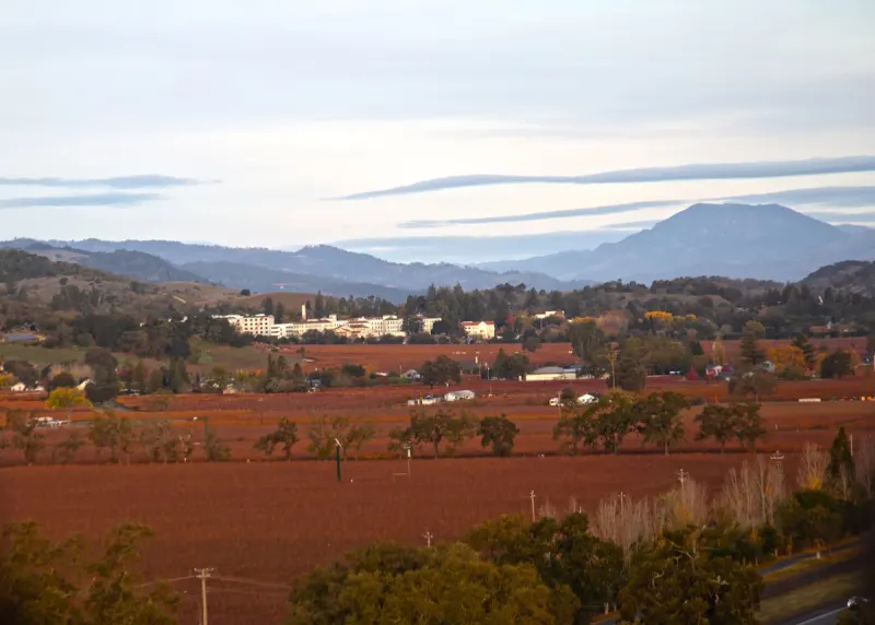 Wine country valley at golden hour