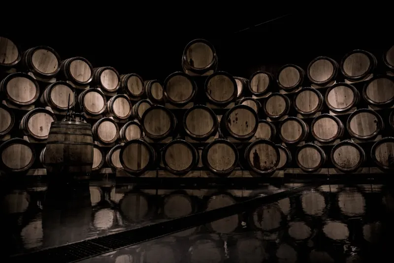 Stacked wine barrels in a dim cellar room
